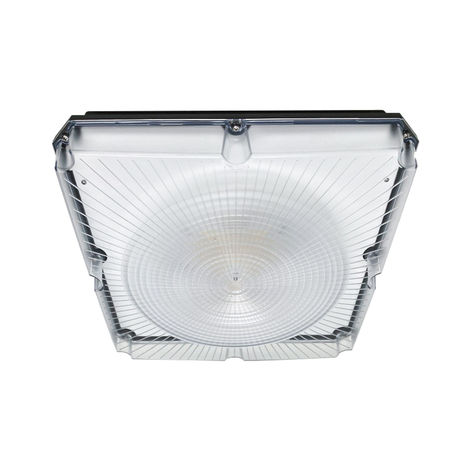 Argonaut Entry Emergency Luminaire